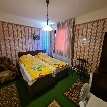 Gasthuis Joco Panzio Nyíregyháza